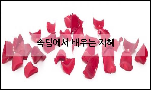 오늘의 이미지
