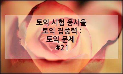 오늘의 이미지