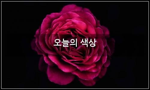 오늘의 이미지