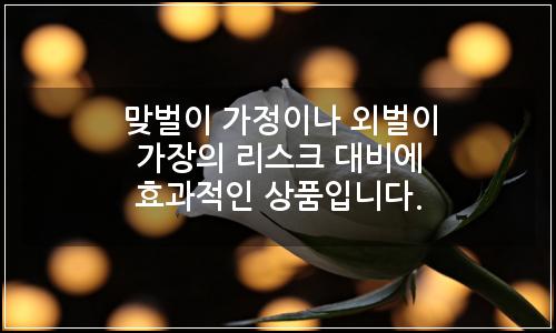오늘의 이미지