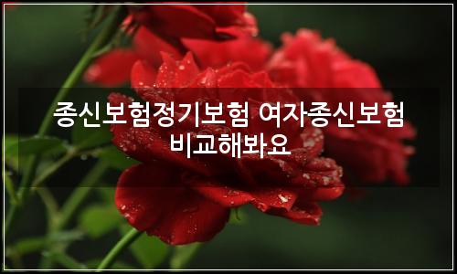 오늘의 이미지