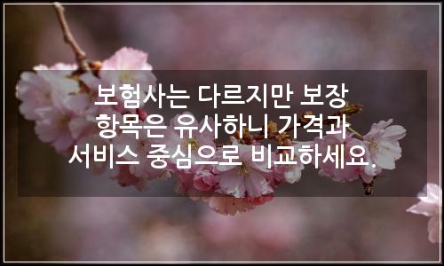 오늘의 이미지