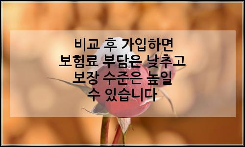 오늘의 이미지