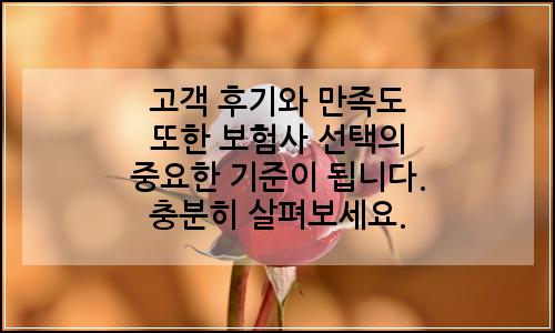 오늘의 이미지
