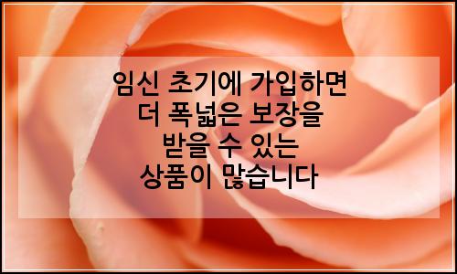 오늘의 이미지