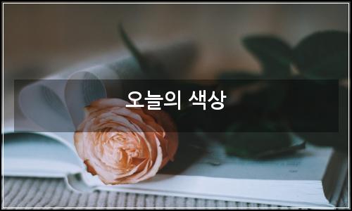 오늘의 이미지
