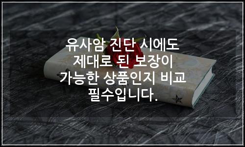 오늘의 이미지