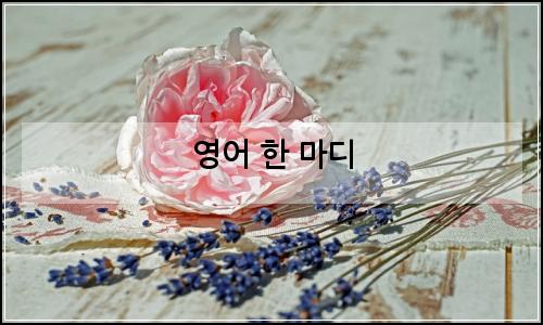 오늘의 이미지