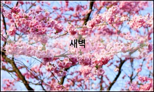 오늘의 이미지