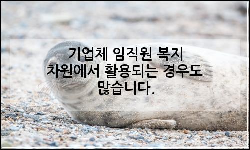 오늘의 이미지