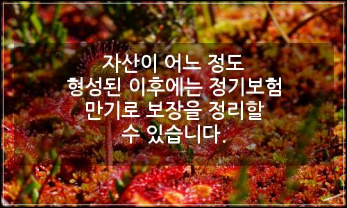 오늘의 이미지