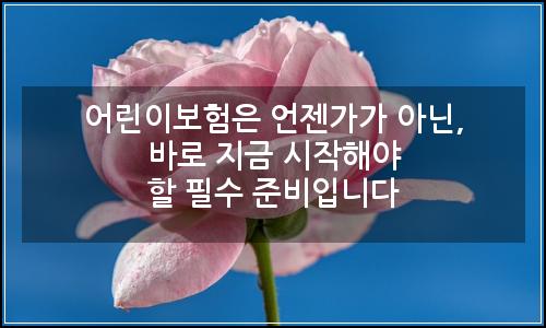 오늘의 이미지