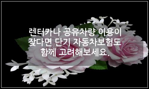 오늘의 이미지