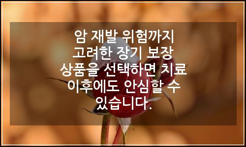 오늘의 이미지