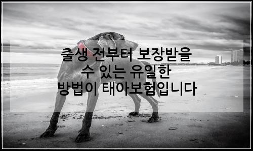 오늘의 이미지