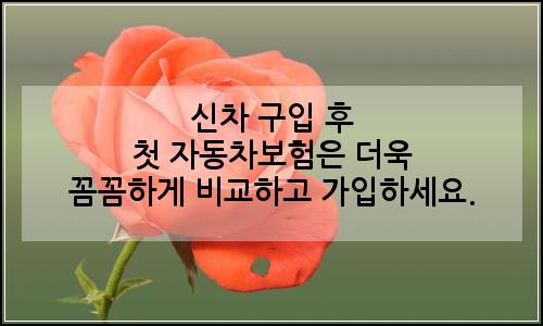 오늘의 이미지