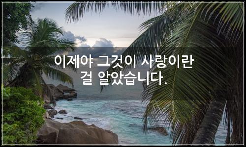 오늘의 이미지