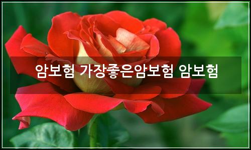 오늘의 이미지