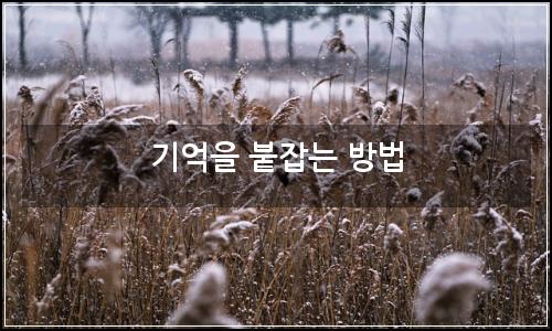 오늘의 이미지