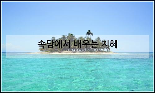 오늘의 이미지
