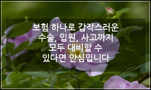오늘의 이미지