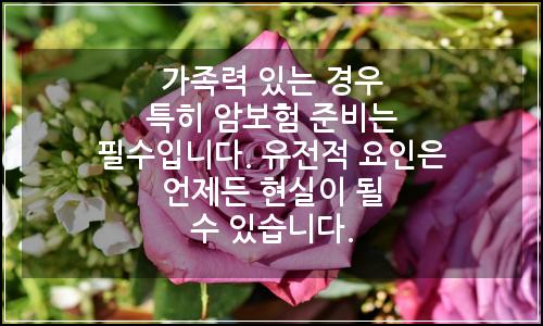 오늘의 이미지