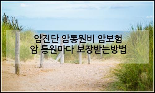 오늘의 이미지