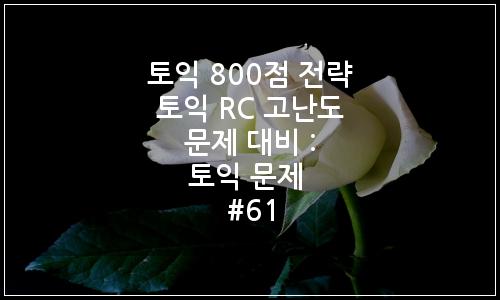 오늘의 이미지