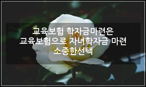 오늘의 이미지