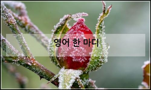오늘의 이미지
