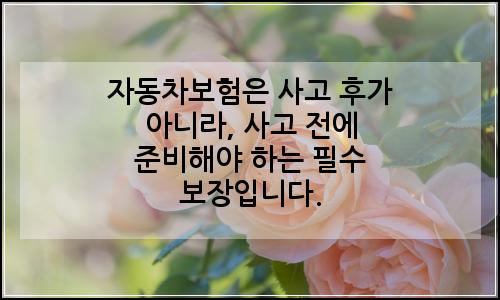오늘의 이미지