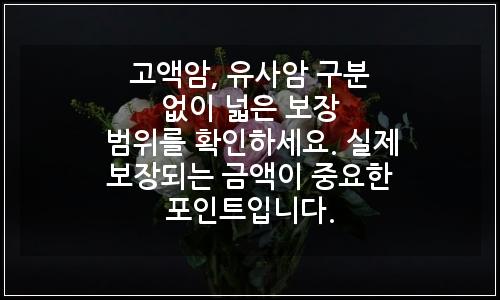 오늘의 이미지