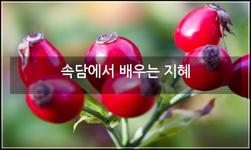 오늘의 이미지