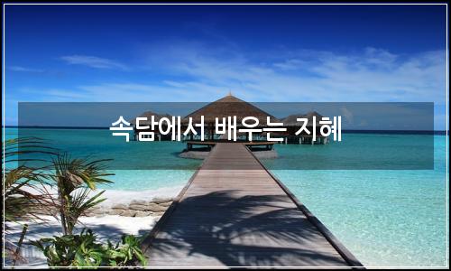 오늘의 이미지