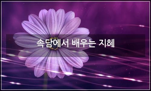 오늘의 이미지