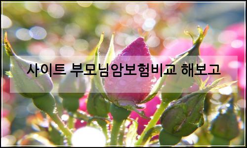 오늘의 이미지