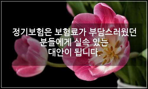 오늘의 이미지