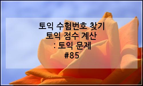 오늘의 이미지