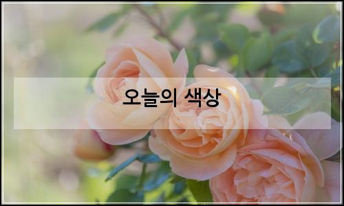 오늘의 이미지