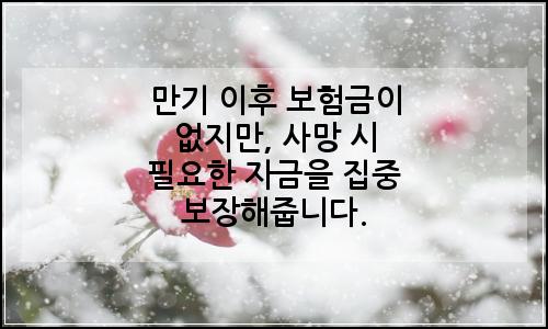 오늘의 이미지