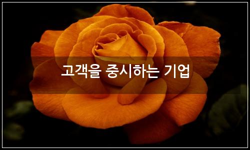 오늘의 이미지