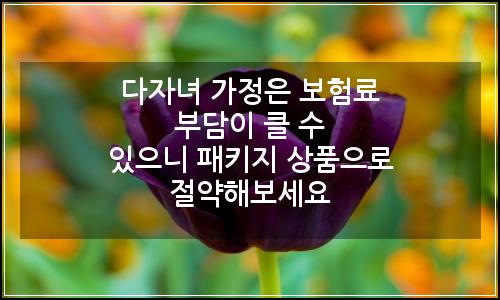 오늘의 이미지