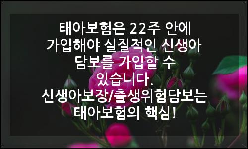 오늘의 이미지