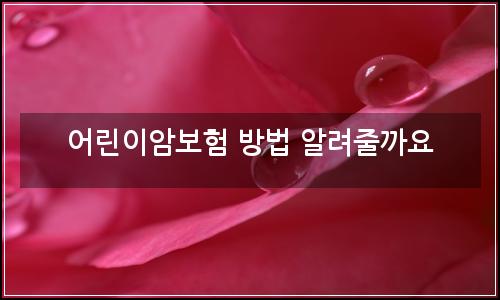오늘의 이미지