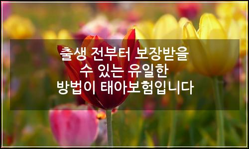 오늘의 이미지