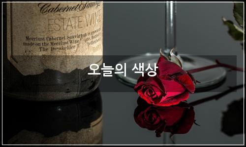 오늘의 이미지