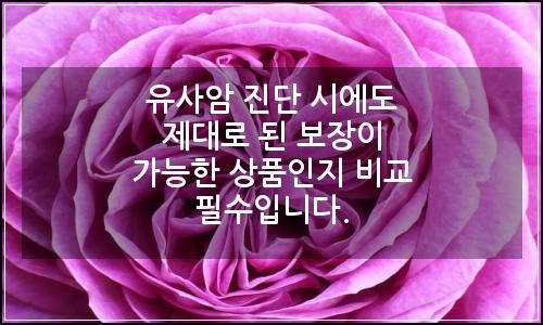 오늘의 이미지
