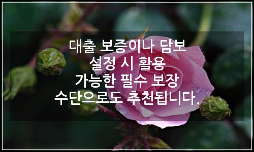 오늘의 이미지