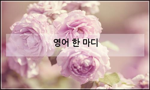 오늘의 이미지