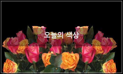 오늘의 이미지